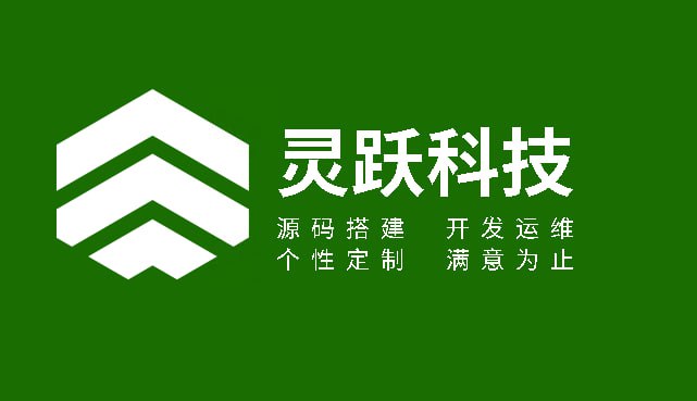 灵跃科技团队